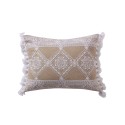 Diamond Embroidered Tassels Decorative Pillow, 14