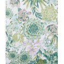 Succulents Dual Purpose Kitchen Towel 2-Pack Set, 16